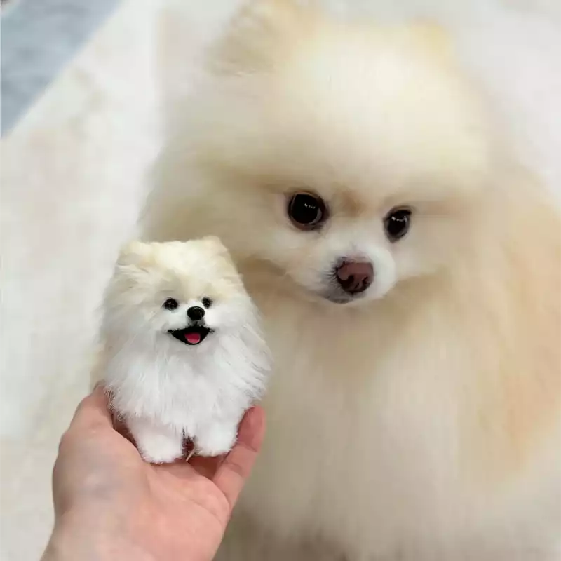 Custom Pipe Cleaner Pet Figurine